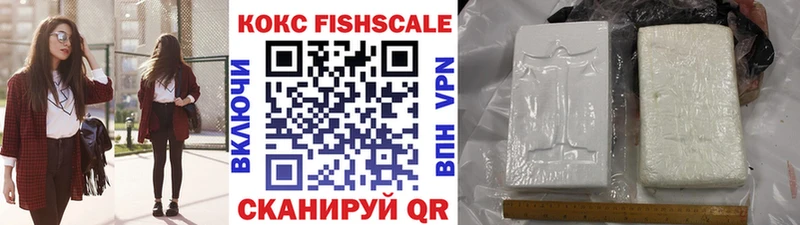 КОКАИН Fish Scale  Купить закладки  Дмитриев 