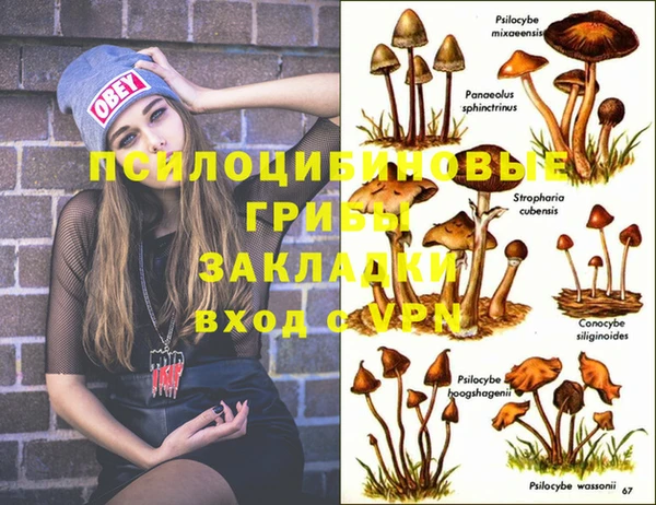 гашишное масло Белокуриха